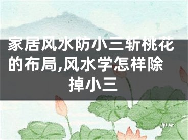 家居风水防小三斩桃花的布局,风水学怎样除掉小三