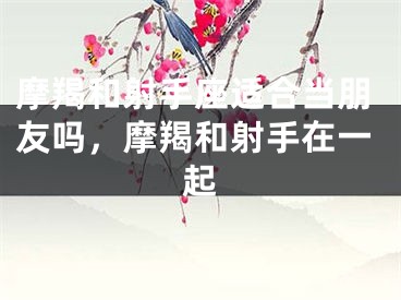 摩羯和射手座适合当朋友吗，摩羯和射手在一起
