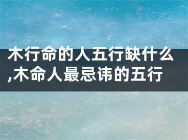 木行命的人五行缺什么,木命人最忌讳的五行
