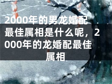 2000年的男龙婚配最佳属相是什么呢，2000年的龙婚配最佳属相
