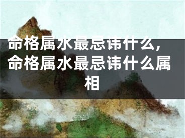 命格属水最忌讳什么,命格属水最忌讳什么属相
