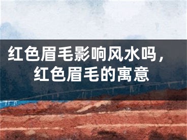 红色眉毛影响风水吗，红色眉毛的寓意