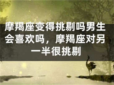 摩羯座变得挑剔吗男生会喜欢吗，摩羯座对另一半很挑剔