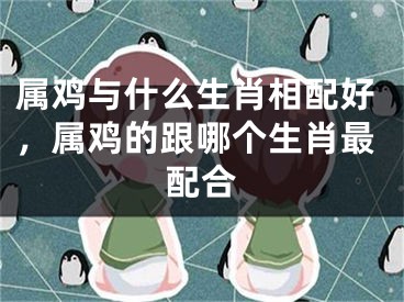 属鸡与什么生肖相配好，属鸡的跟哪个生肖最配合