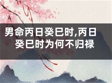 男命丙日癸巳时,丙日癸巳时为何不归禄