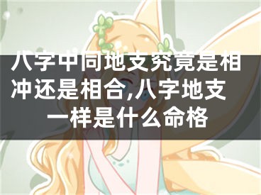 八字中同地支究竟是相冲还是相合,八字地支一样是什么命格