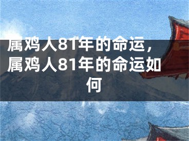 属鸡人81年的命运，属鸡人81年的命运如何