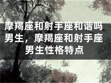摩羯座和射手座和谐吗男生，摩羯座和射手座男生性格特点
