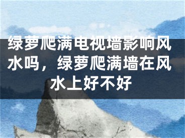 绿萝爬满电视墙影响风水吗，绿萝爬满墙在风水上好不好