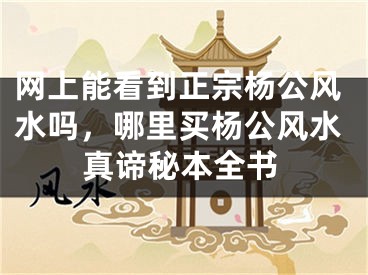 网上能看到正宗杨公风水吗，哪里买杨公风水真谛秘本全书