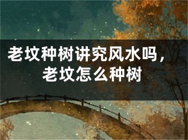 老坟种树讲究风水吗,老坟怎么种树