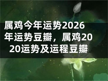 属鸡今年运势2026年运势豆瓣，属鸡2020运势及运程豆瓣