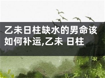 乙未日柱缺水的男命该如何补运,乙未 日柱