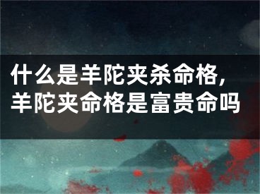 什么是羊陀夹杀命格,羊陀夹命格是富贵命吗
