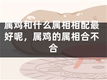 属鸡和什么属相相配最好呢，属鸡的属相合不合