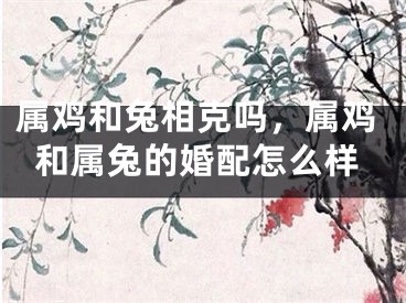 属鸡和兔相克吗,属鸡和属兔的婚配怎么样