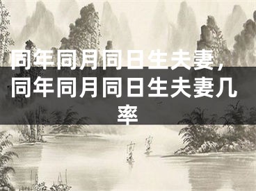 同年同月同日生夫妻,同年同月同日生夫妻几率