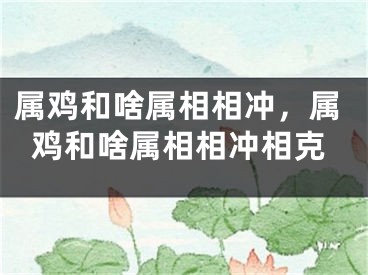 属鸡和啥属相相冲,属鸡和啥属相相冲相克