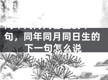 同年同月同日生的下一句,同年同月同日生的下一句怎么说