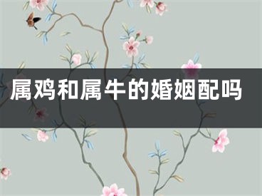 属鸡和属牛的婚姻配吗