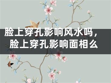 脸上穿孔影响风水吗,脸上穿孔影响面相么