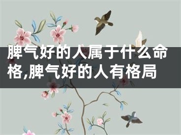 脾气好的人属于什么命格,脾气好的人有格局