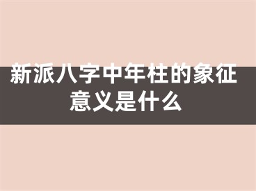 新派八字中年柱的象征意义是什么
