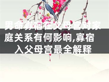 男命寡宿在父母宫对家庭关系有何影响,寡宿入父母宫最全解释