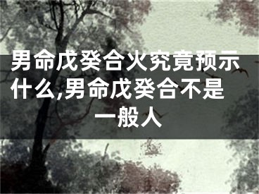 男命戊癸合火究竟预示什么,男命戊癸合不是一般人