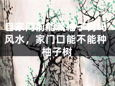 自家门前能栽柚子树吗风水,家门口能不能种柚子树