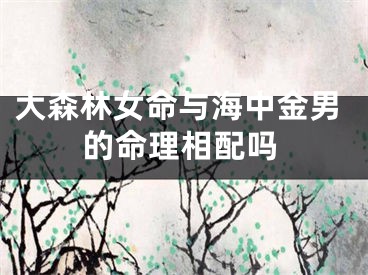 大森林女命与海中金男的命理相配吗