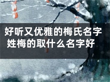 好听又优雅的梅氏名字 姓梅的取什么名字好