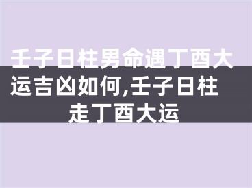 壬子日柱男命遇丁酉大运吉凶如何,壬子日柱走丁酉大运