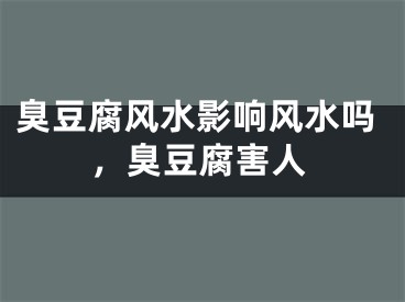 臭豆腐风水影响风水吗，臭豆腐害人