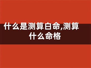 什么是测算白命,测算什么命格