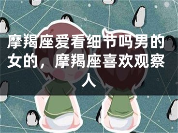 摩羯座爱看细节吗男的女的，摩羯座喜欢观察人