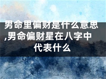 男命里偏财是什么意思,男命偏财星在八字中代表什么