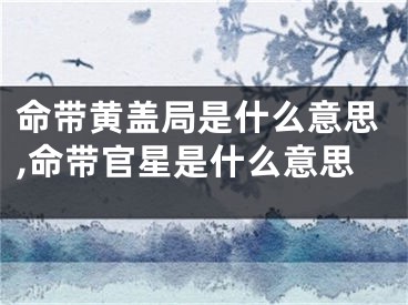 命带黄盖局是什么意思,命带官星是什么意思