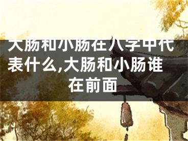 大肠和小肠在八字中代表什么,大肠和小肠谁在前面