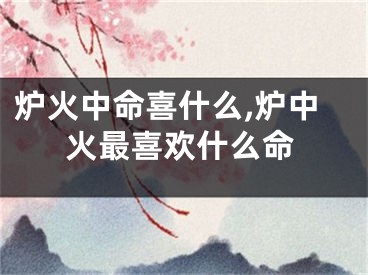炉火中命喜什么,炉中火最喜欢什么命