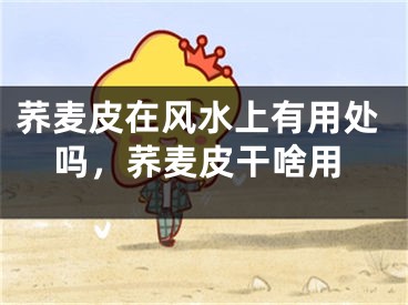 荞麦皮在风水上有用处吗，荞麦皮干啥用