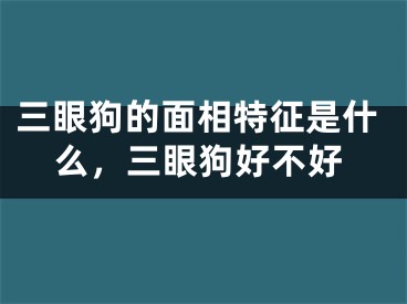 三眼狗的面相特征是什么,三眼狗好不好
