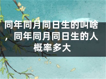 同年同月同日生的叫啥，同年同月同日生的人概率多大