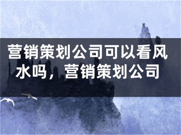 营销策划公司可以看风水吗，营销策划公司