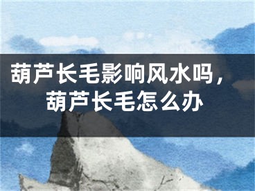 葫芦长毛影响风水吗，葫芦长毛怎么办
