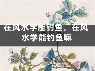 在风水学能钓鱼,在风水学能钓鱼嘛