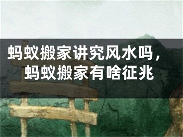 蚂蚁搬家讲究风水吗，蚂蚁搬家有啥征兆