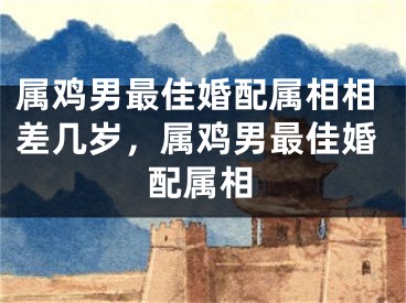 属鸡男最佳婚配属相相差几岁，属鸡男最佳婚配属相