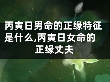丙寅日男命的正缘特征是什么,丙寅日女命的正缘丈夫