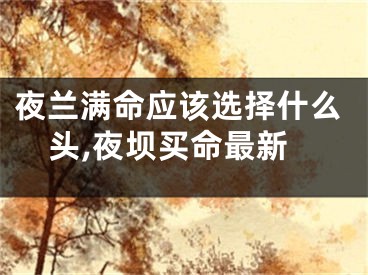 夜兰满命应该选择什么头,夜坝买命最新